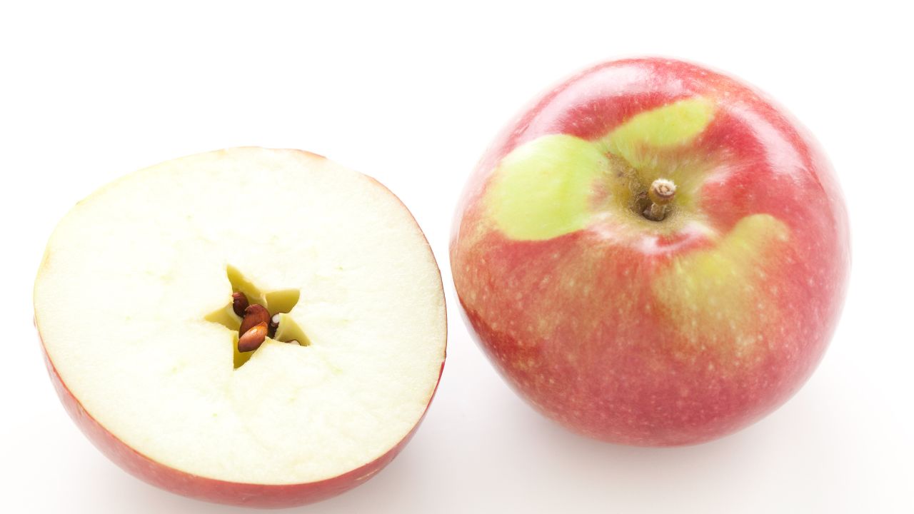 30 Fruits That Start With M