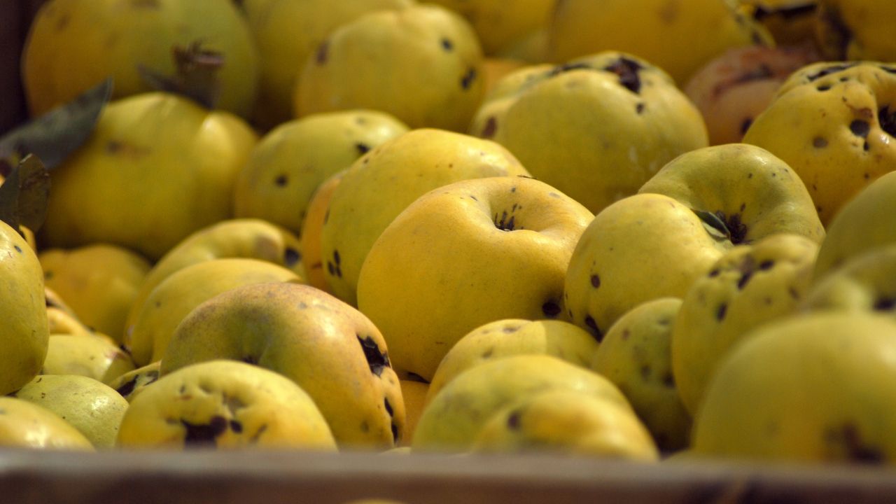 30 Fruits That Start With M