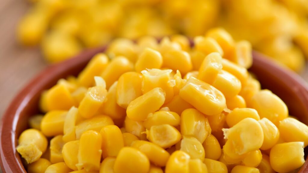 31 Corn Recipes You Are Going To Love