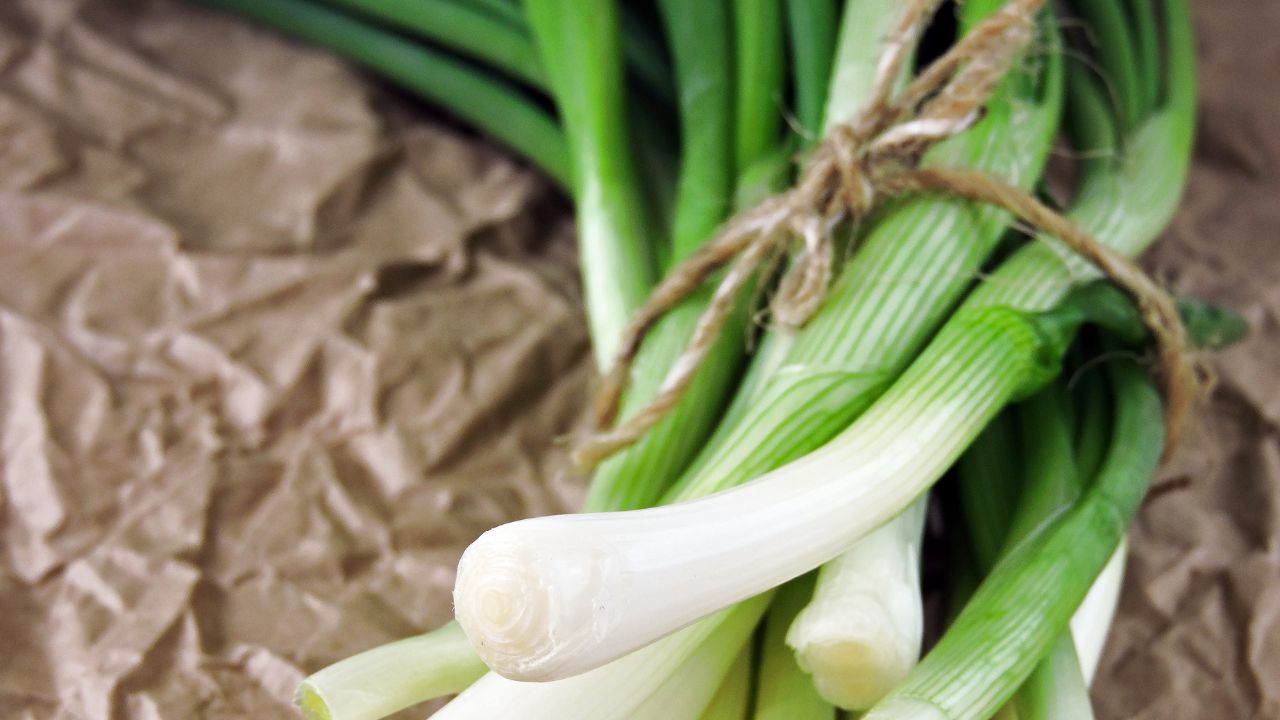 38 Of the Hottest Scallion Recipes (Aka. Best Green Onion Dishes)