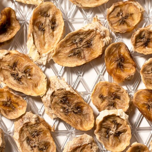 50 Easy, Tasty and Healthy Dehydrator Snack Recipes