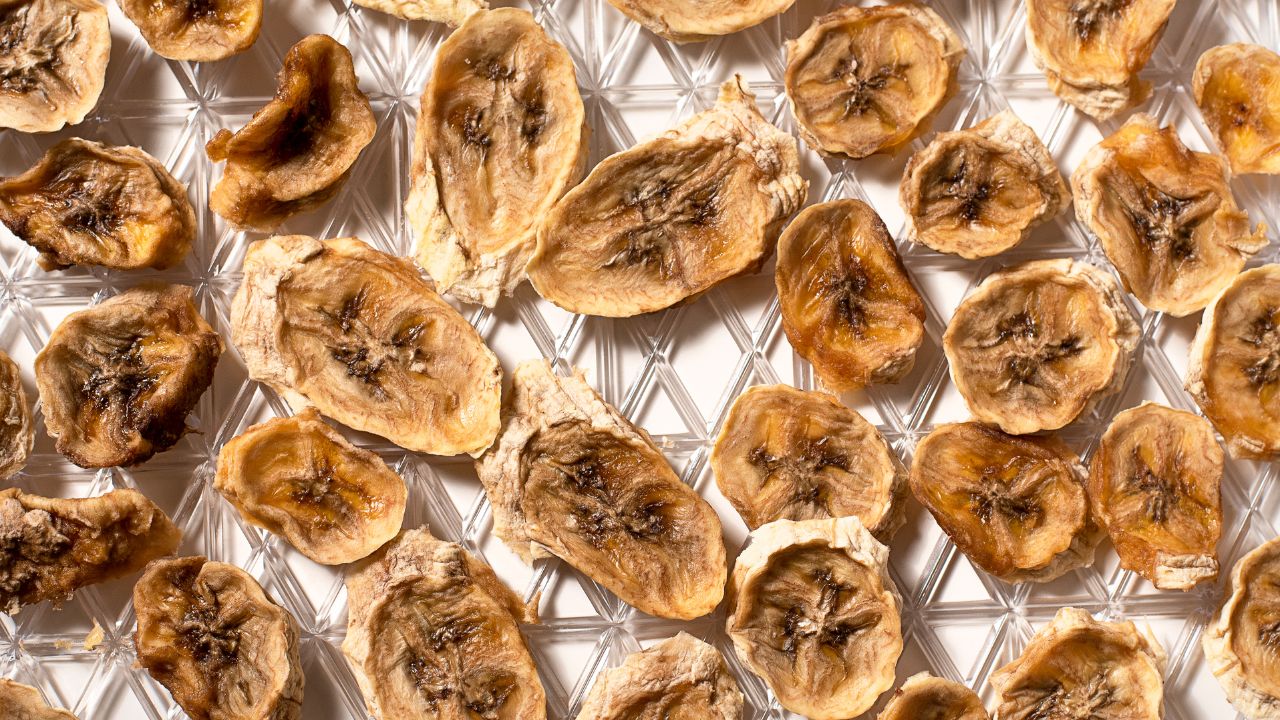 50 Easy, Tasty and Healthy Dehydrator Snack Recipes