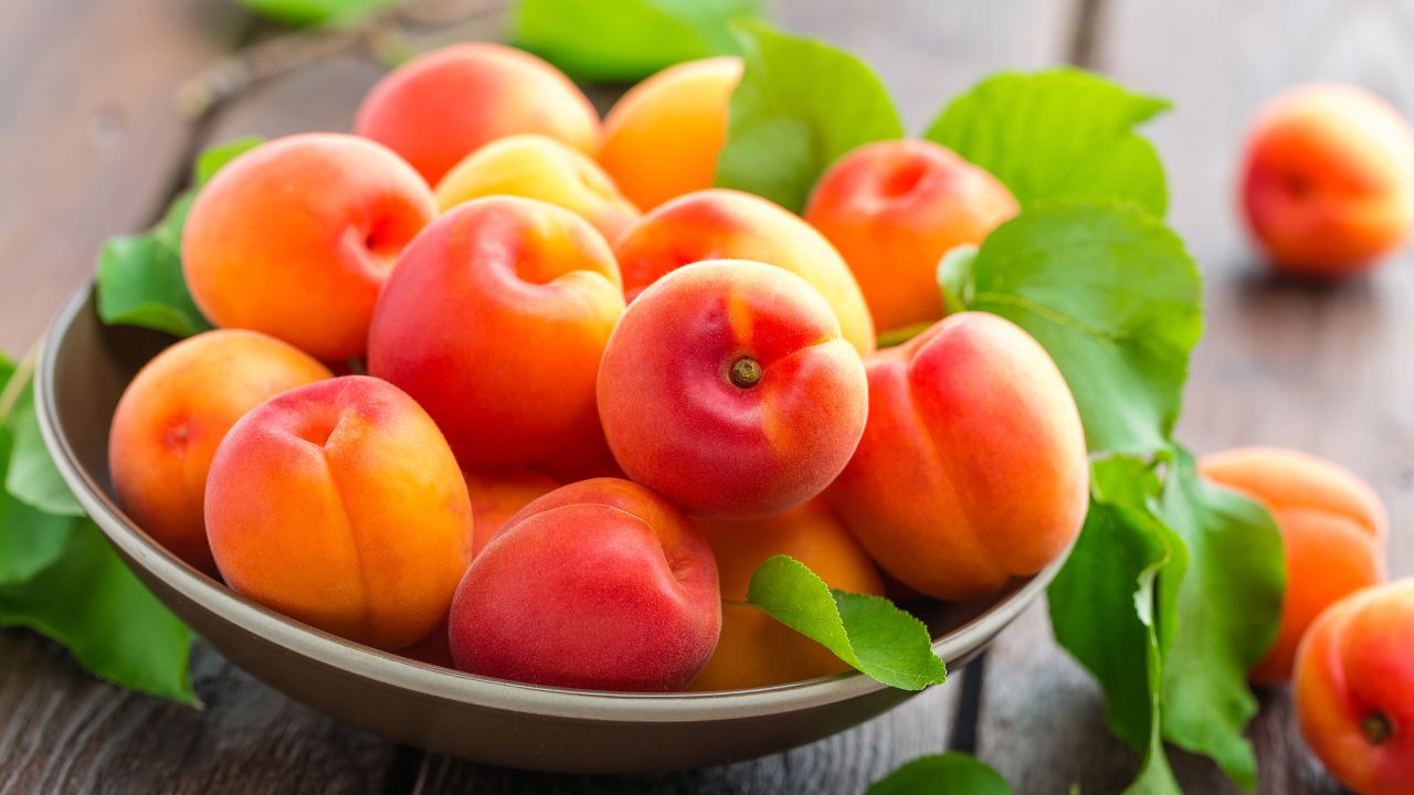 50 Flavorsome And Fresh Apricot Recipes