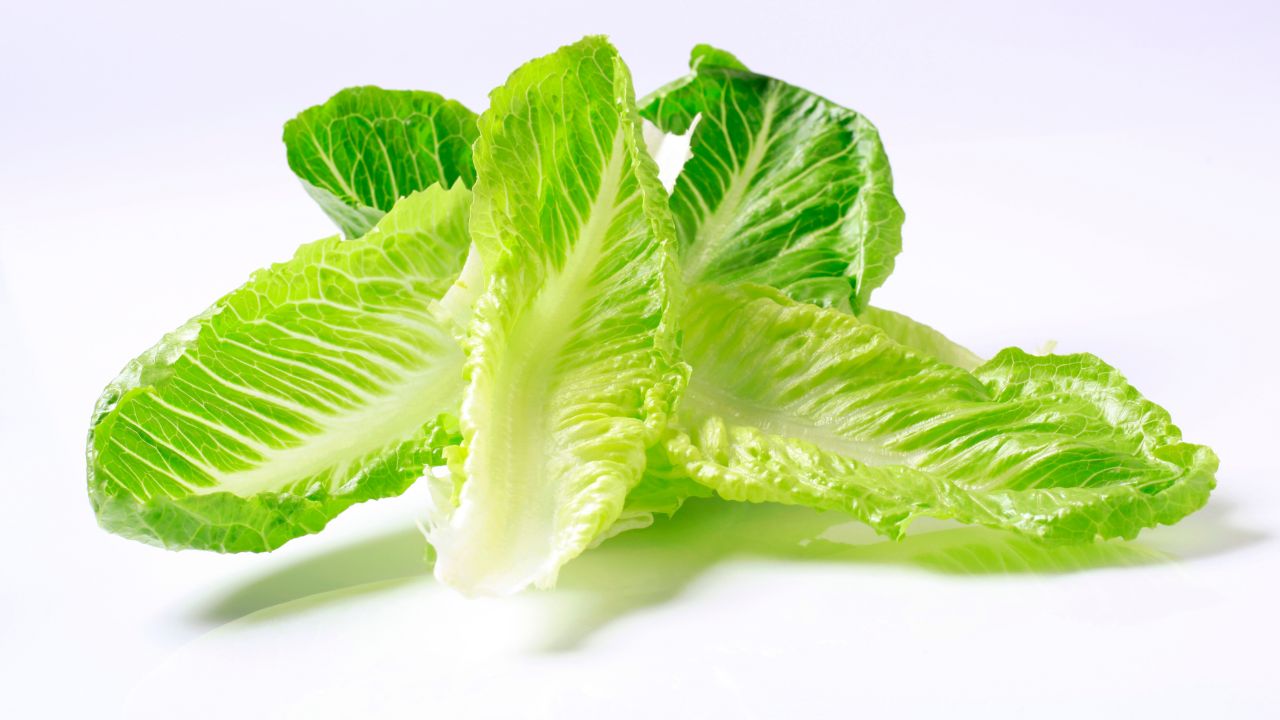 Lettuce