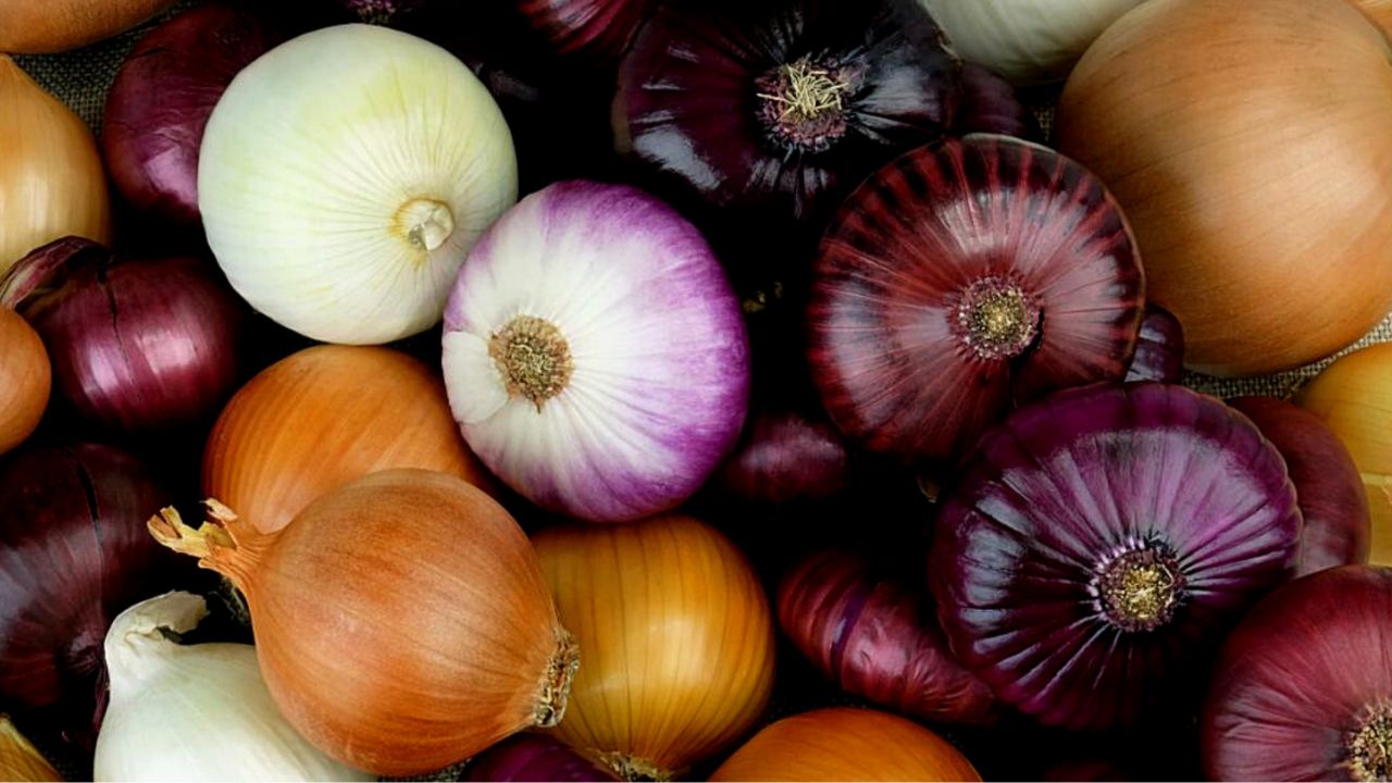 Onions